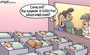 135